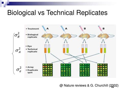 technical vs biological replicates